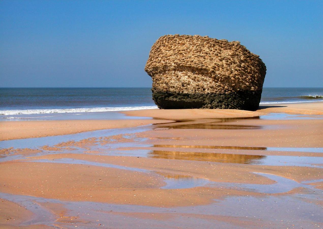 Estudio Primera Linea De Playa *